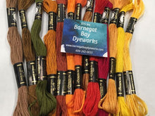Load image into Gallery viewer, Skeins of Fall colored Prescencia embroidery floss. two browns, one green, gold , rust, two oranges, variegated brown, two reds, a light gold and two yellows in our Fall Floss Packet
