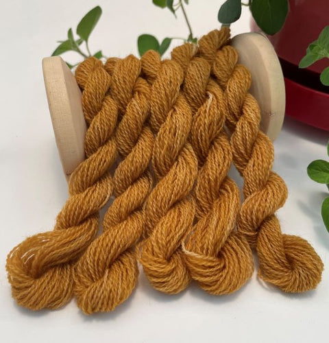 Skeins of hand dyed slightly variegated threads in a warm toffee color .