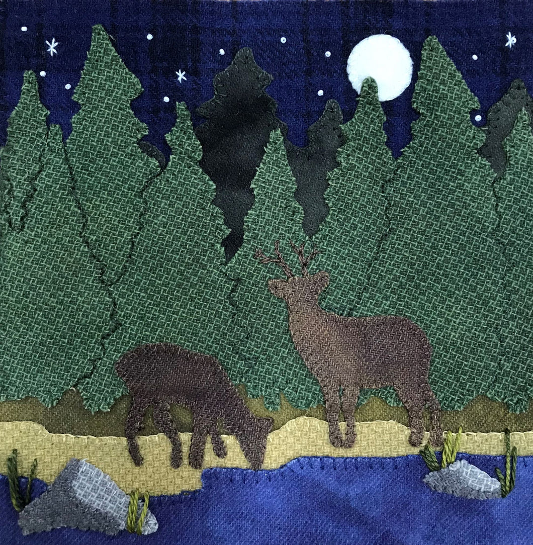 Wooly Block Adventure In The Still Of The Night Kit