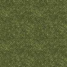 Load image into Gallery viewer, Bonnie Sullivan&#39;ts Woolies Nubby Tweed in green. 
