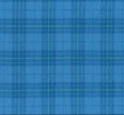 Cotton flannel fabric in a large plaid with medium blue as the background with plaid stripes of a darker blue and a light yellow green.