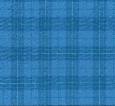 Cotton flannel fabric in a large plaid with medium blue as the background with plaid stripes of a darker blue and a light yellow green.